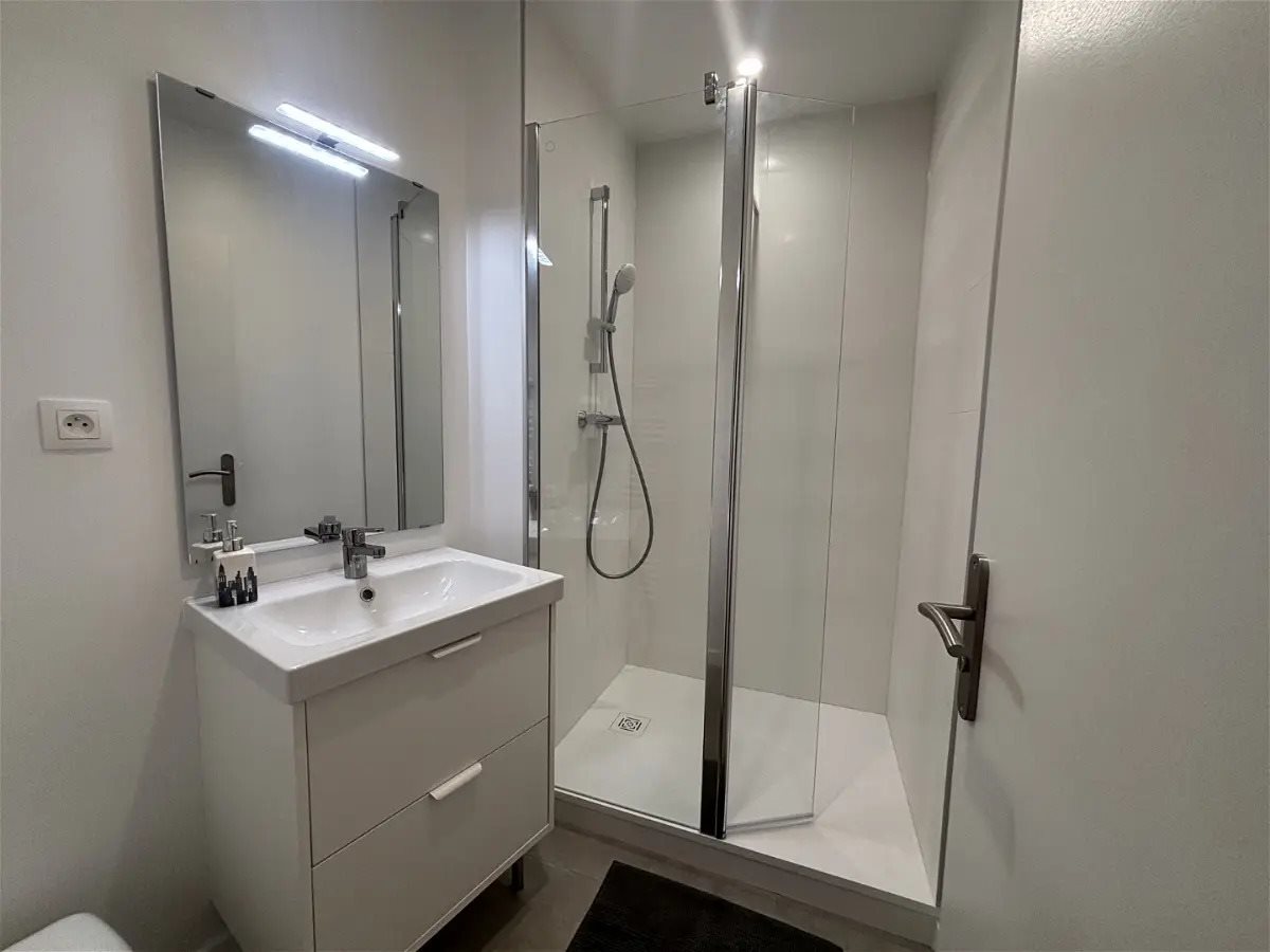 Appartement à louer, 33m², Saint-Etienne