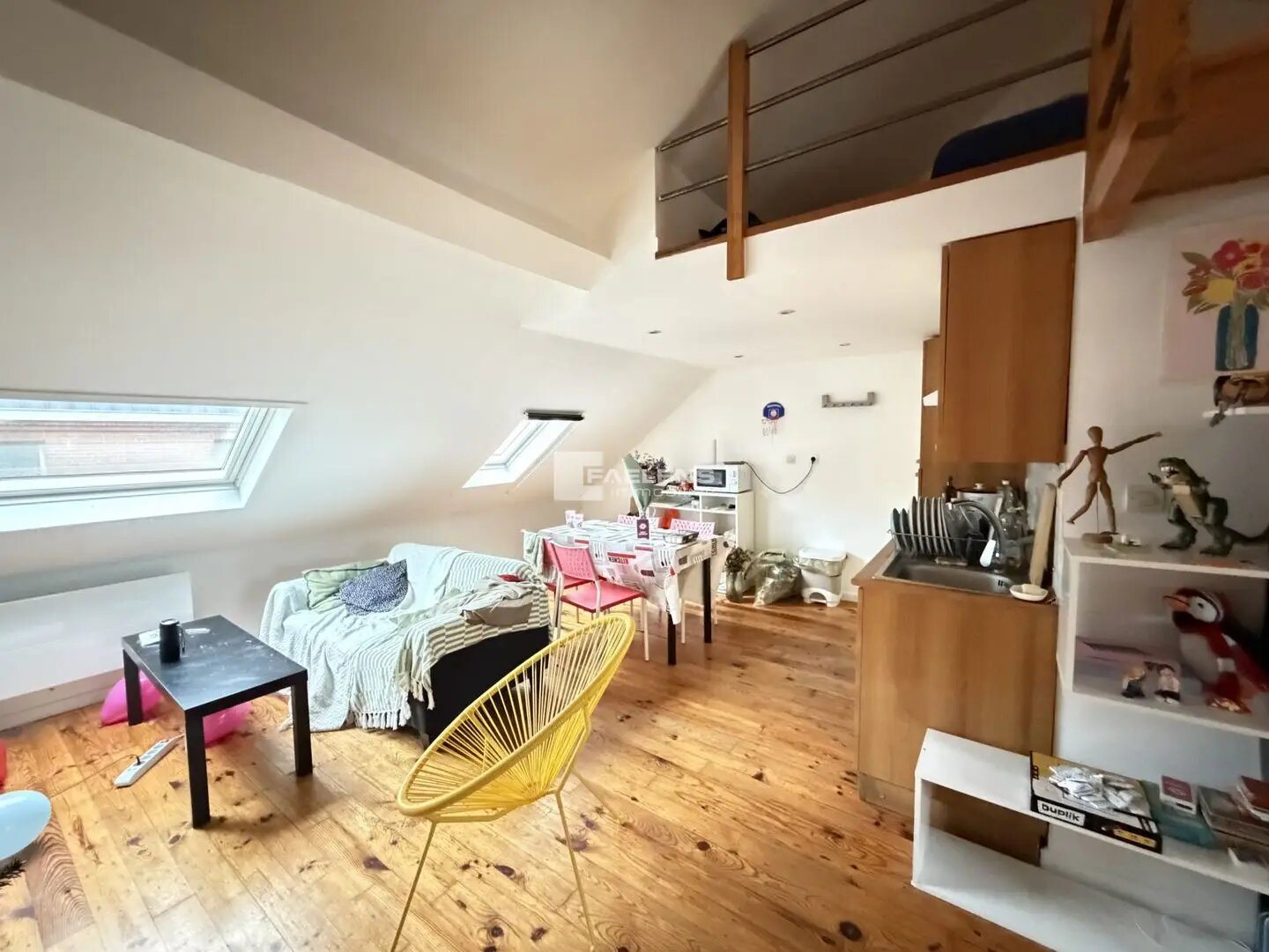 Appartement à vendre, 248m², Lille