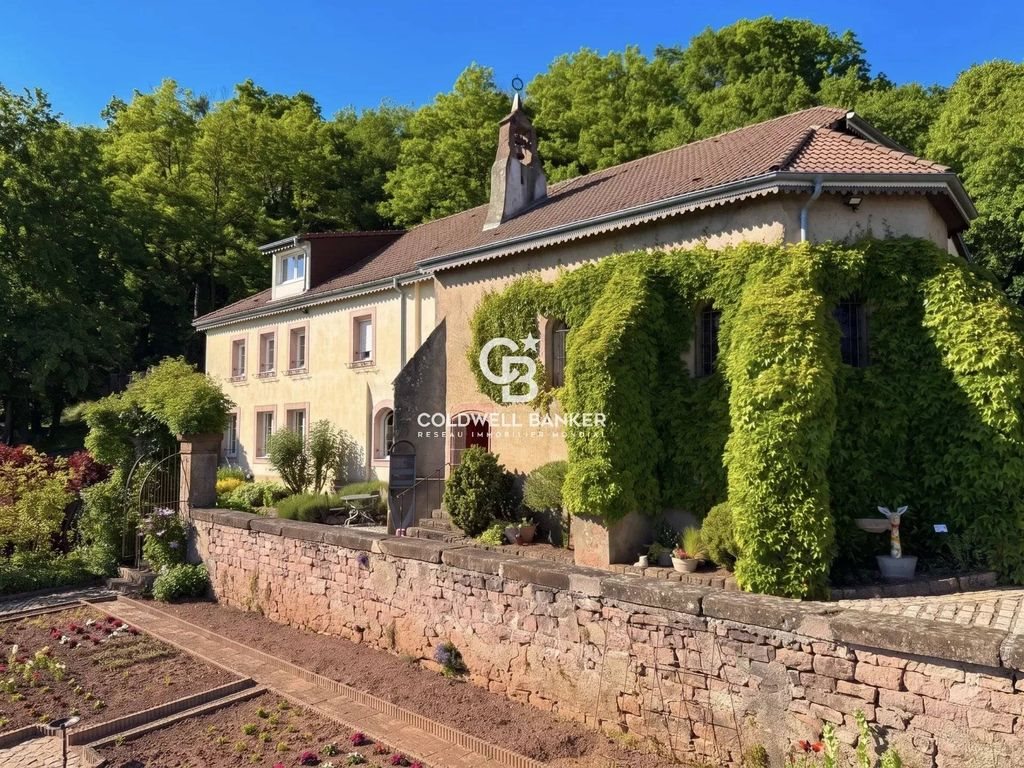 Maison à vendre, 262m², Saint-Dié-des-Vosges