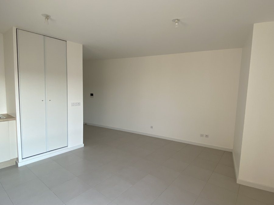 Appartement à louer, 28m², Schiltigheim