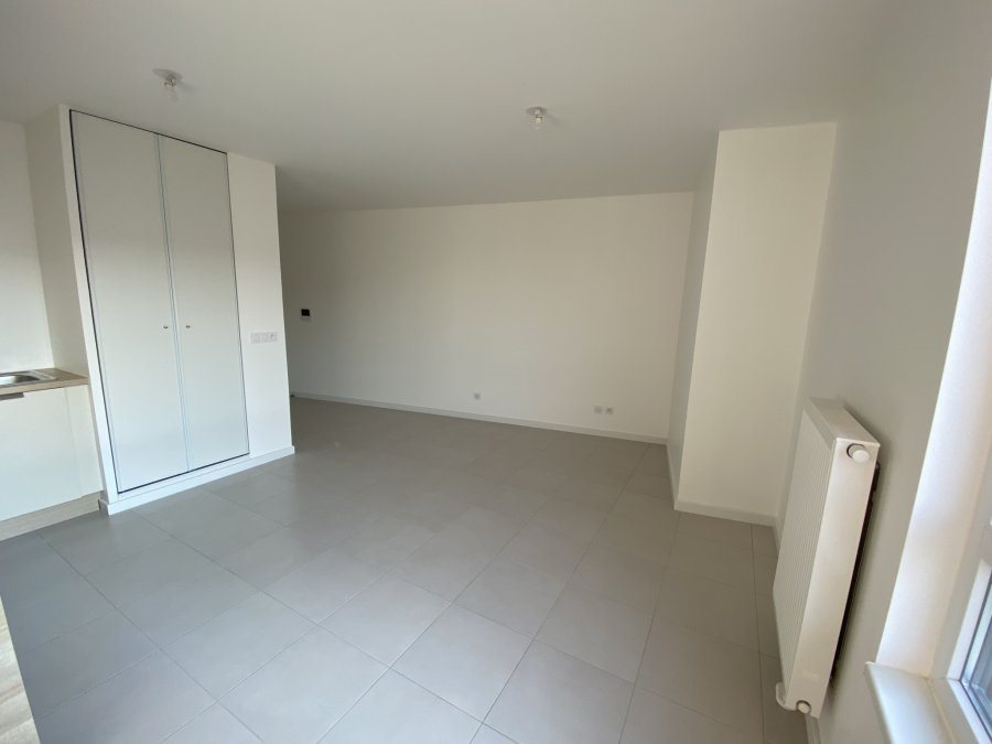 Appartement à louer, 28m², Schiltigheim