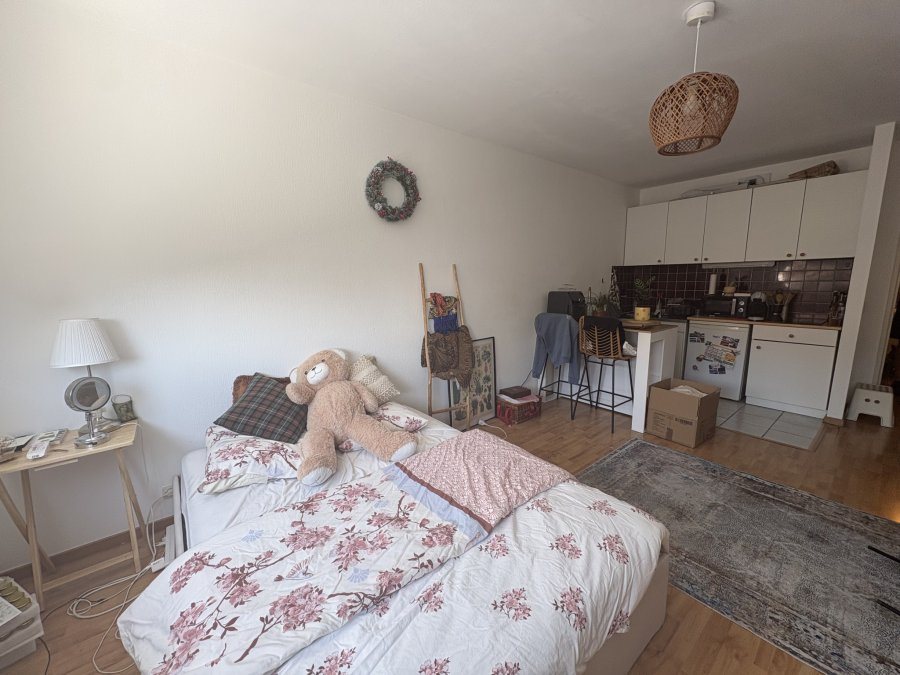 Appartement à vendre, 28m², Strasbourg