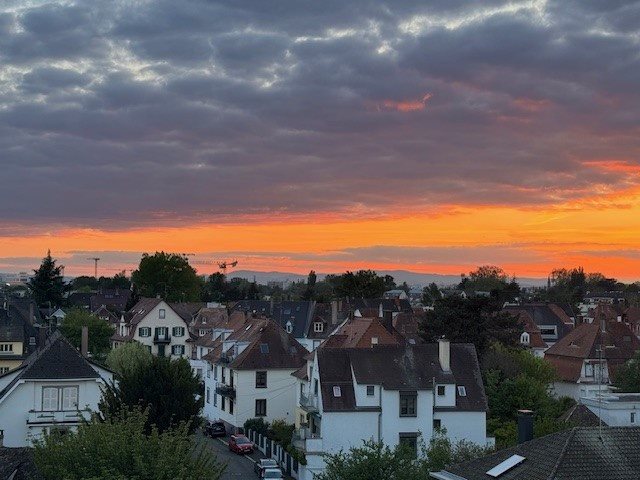 Appartement à vendre, 26m², Strasbourg