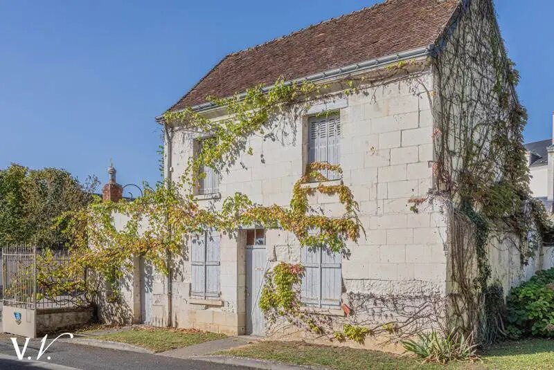 Maison à vendre, 900m², Loches