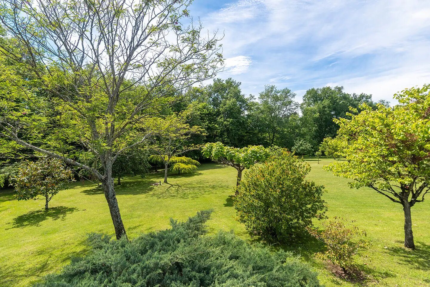 Maison à vendre, 259m², Tresses