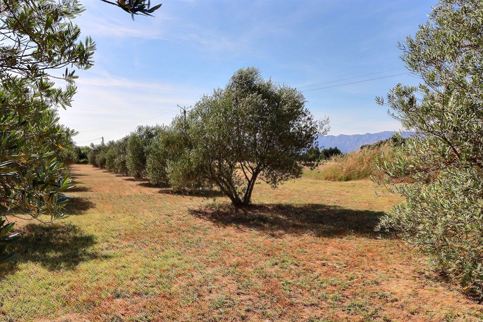 Maison à vendre, 146m², Trets