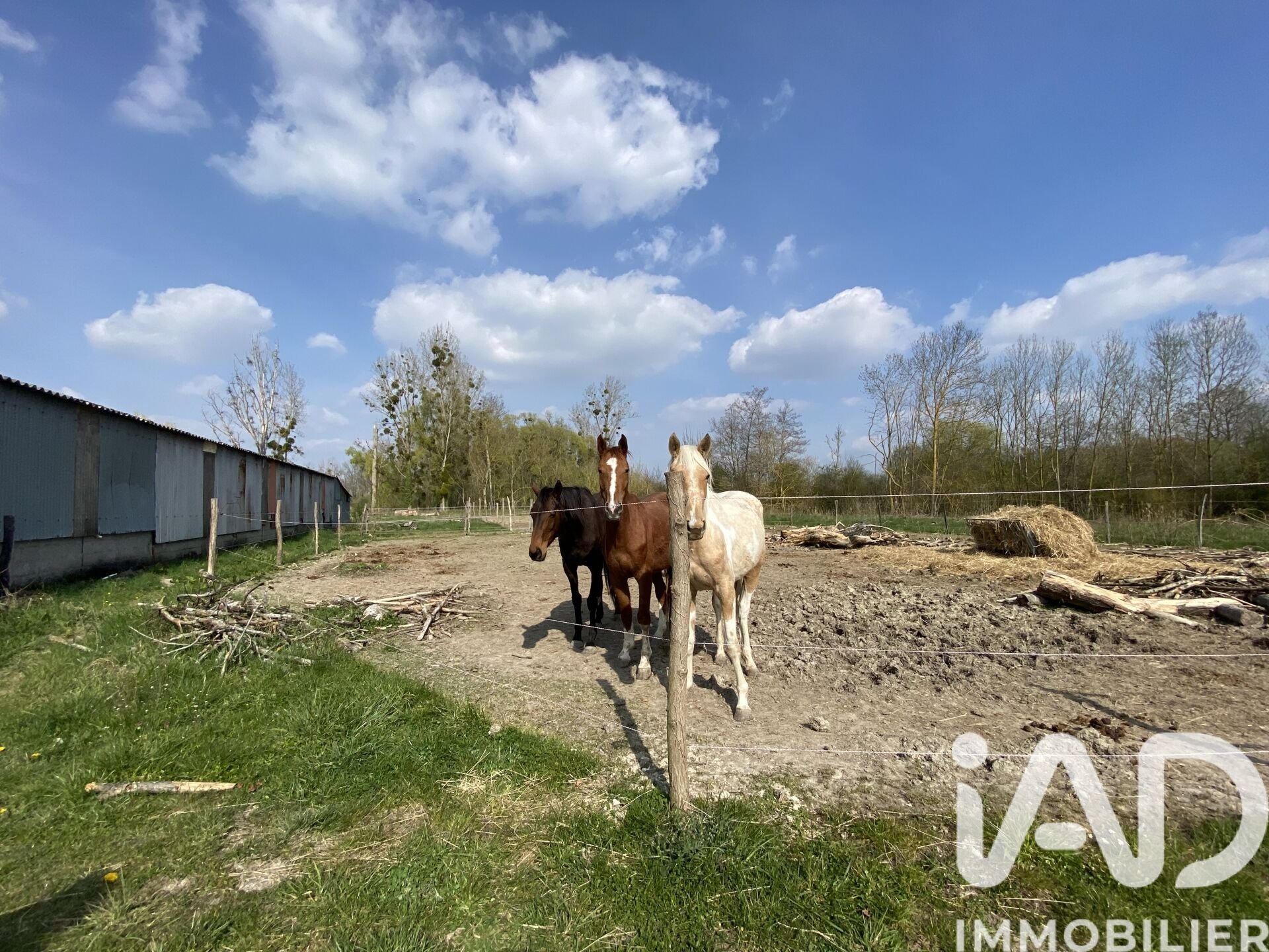 Maison à vendre, 168m², Vimory