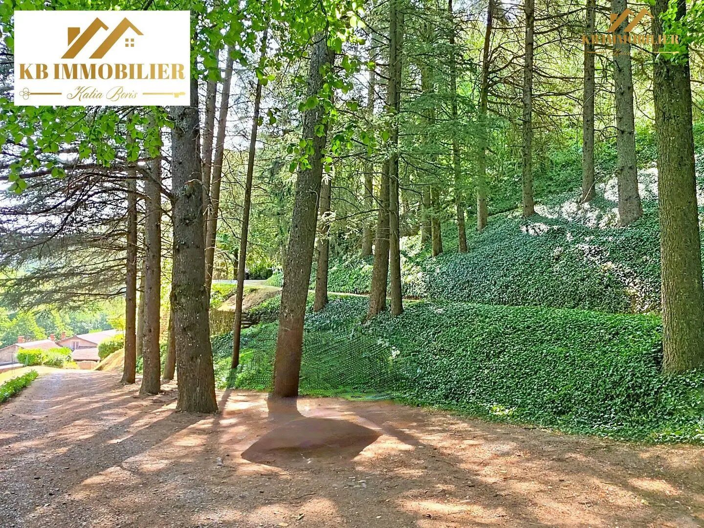 Maison à vendre, 1314m², Lyas
