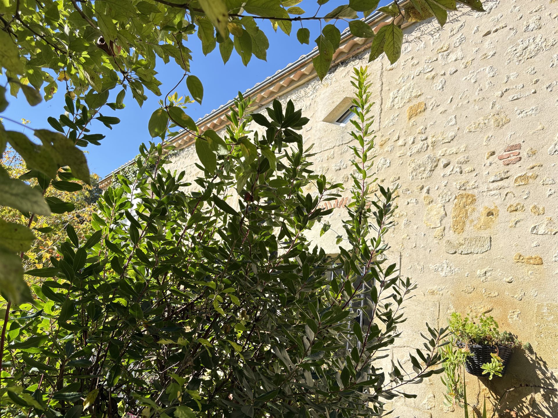 Maison à vendre, 325m², Vendays-Montalivet