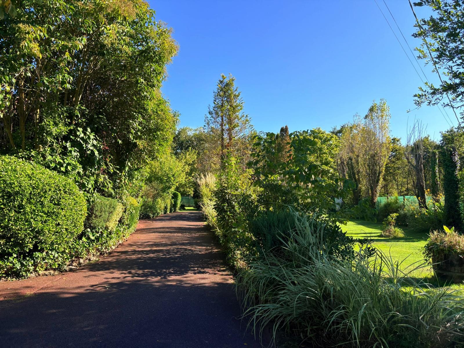 Maison à vendre, 325m², Vendays-Montalivet