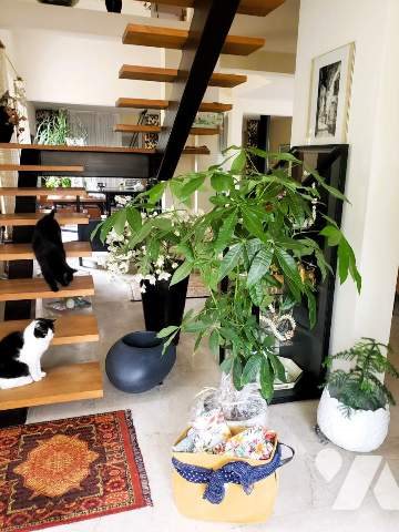 Maison à vendre, 225m², La Ferté-Macé