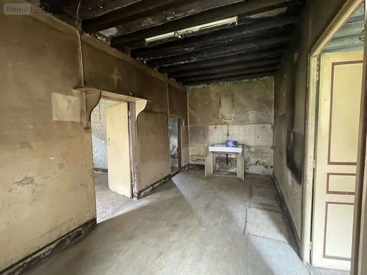 Maison à vendre, 56m², Mézières-sur-Ponthouin