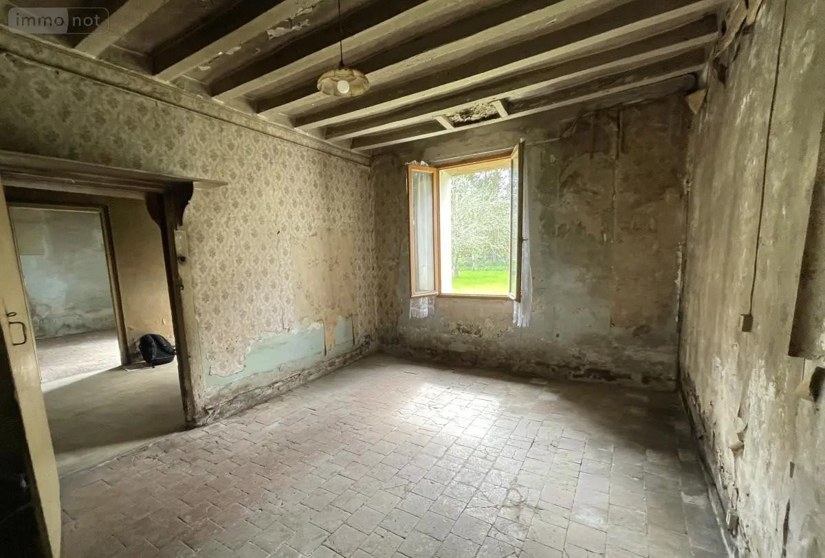 Maison à vendre, 56m², Mézières-sur-Ponthouin