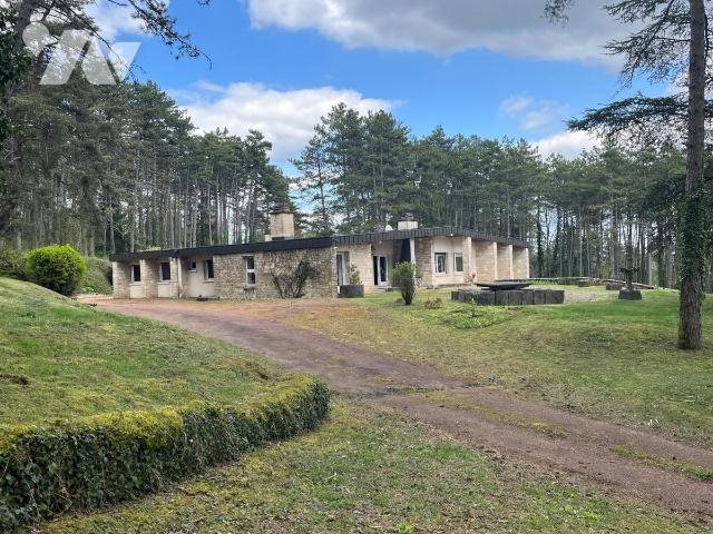 Maison à vendre, 394m², Selongey