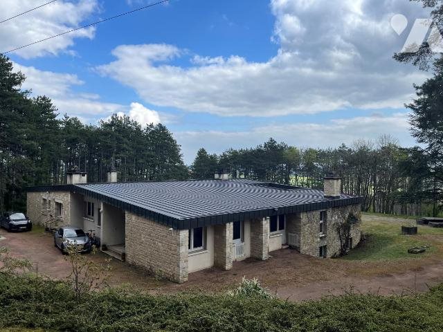 Maison à vendre, 394m², Selongey