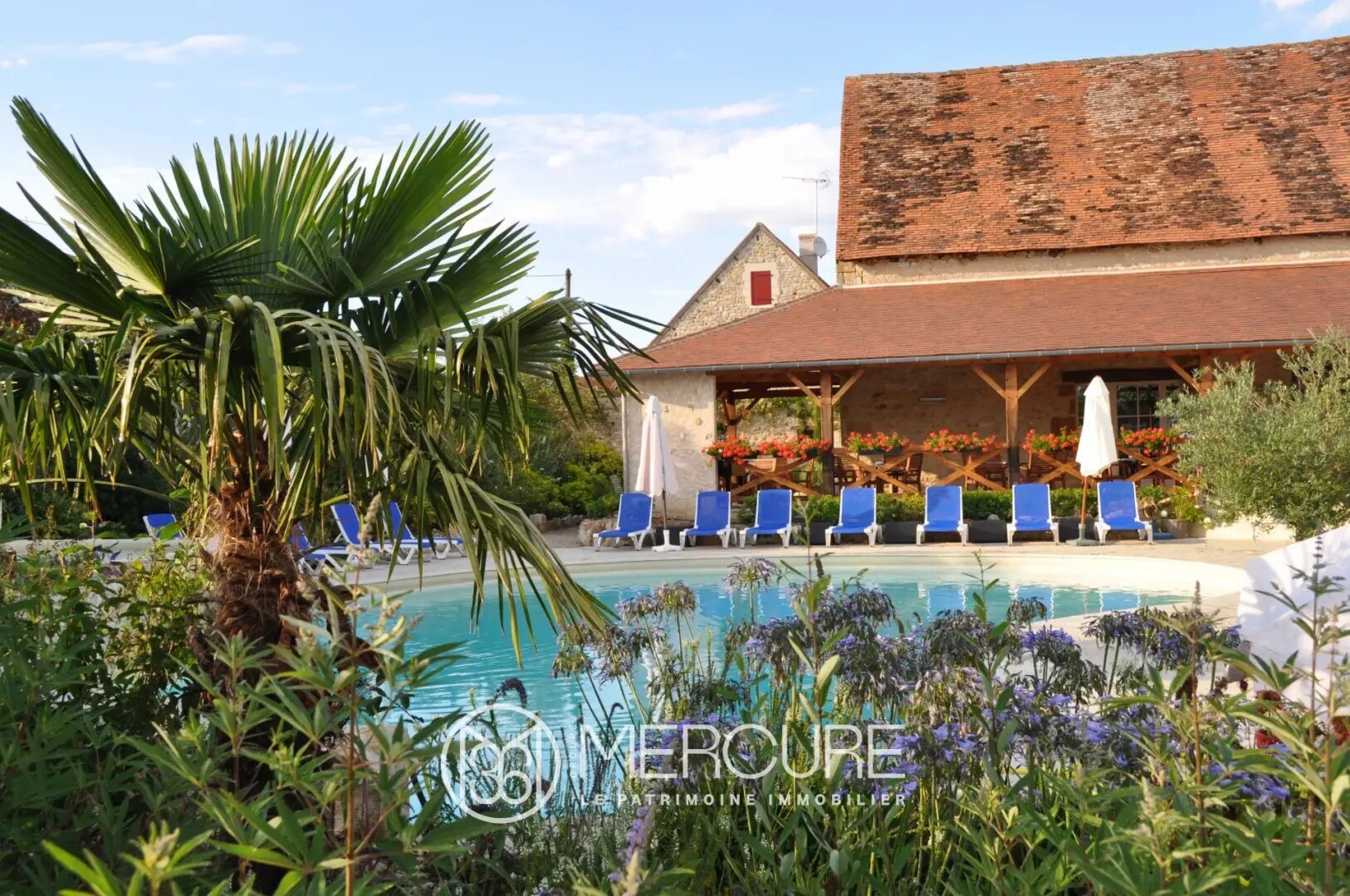 Maison à vendre, 459m², Coulonges-les-Hérolles