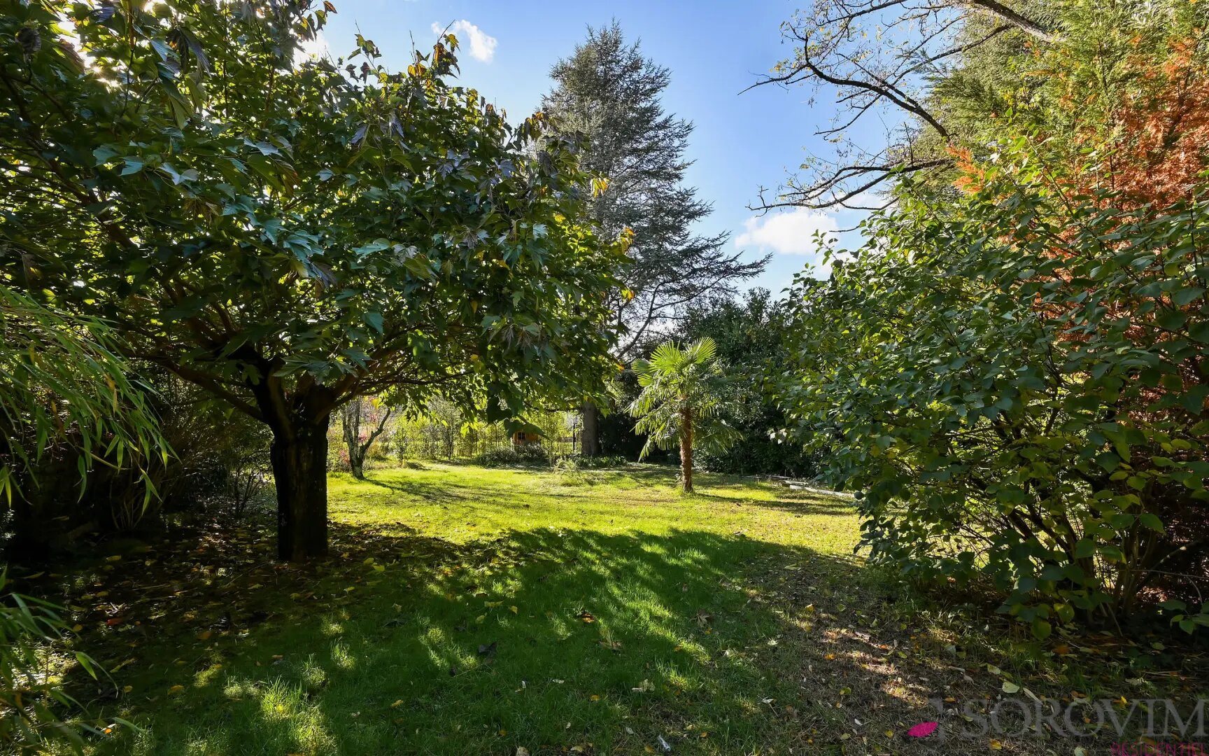 Maison à vendre, 210m², Sainte-Foy-lès-Lyon