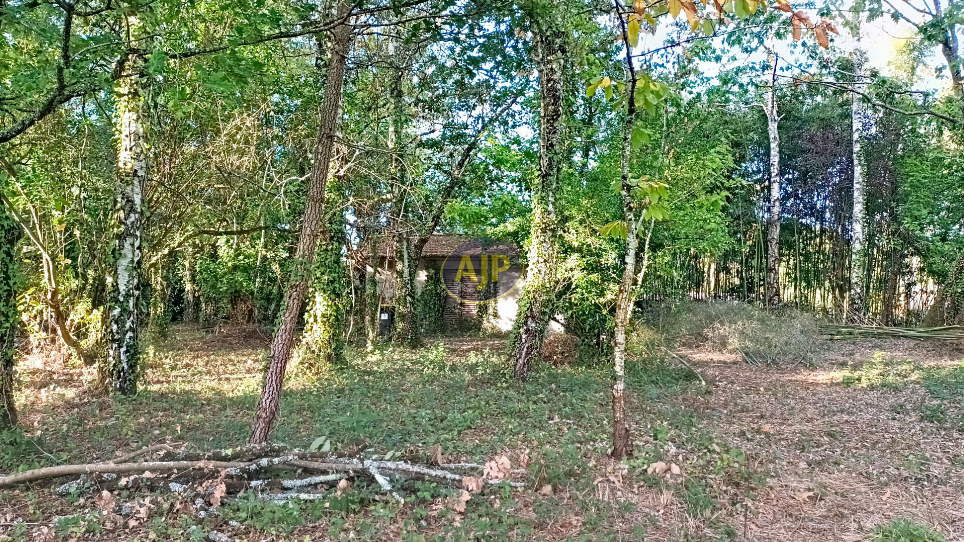 Maison à vendre, 45m², Saint-Vivien-de-Médoc