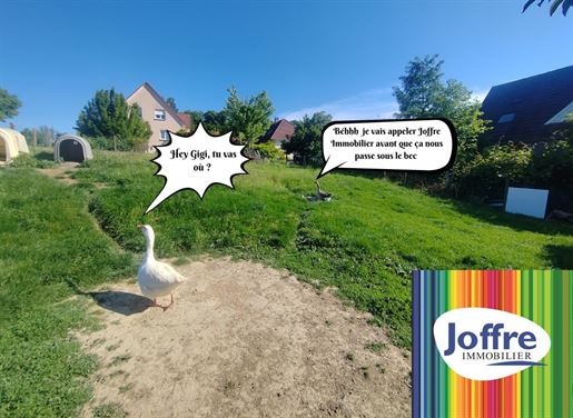 Advert pic 0