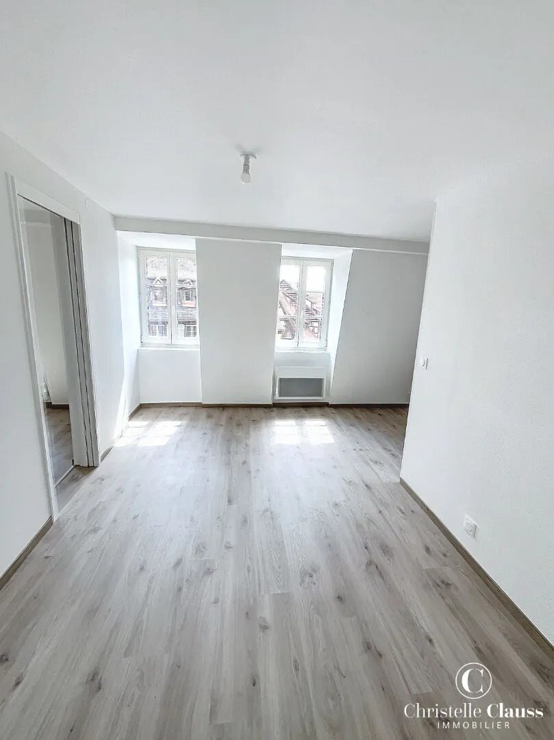 Appartement à louer, 46m², Colmar
