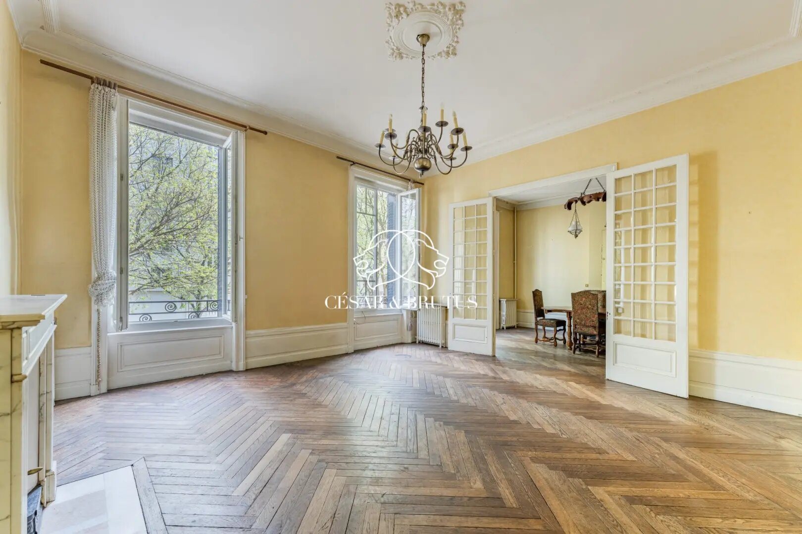 Appartement à vendre, 175m², Lyon 7ème