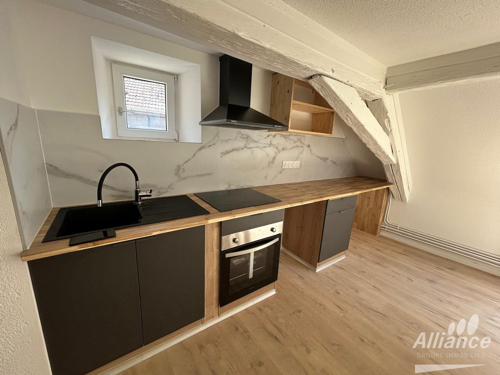 Appartement à louer, 64m², Delle