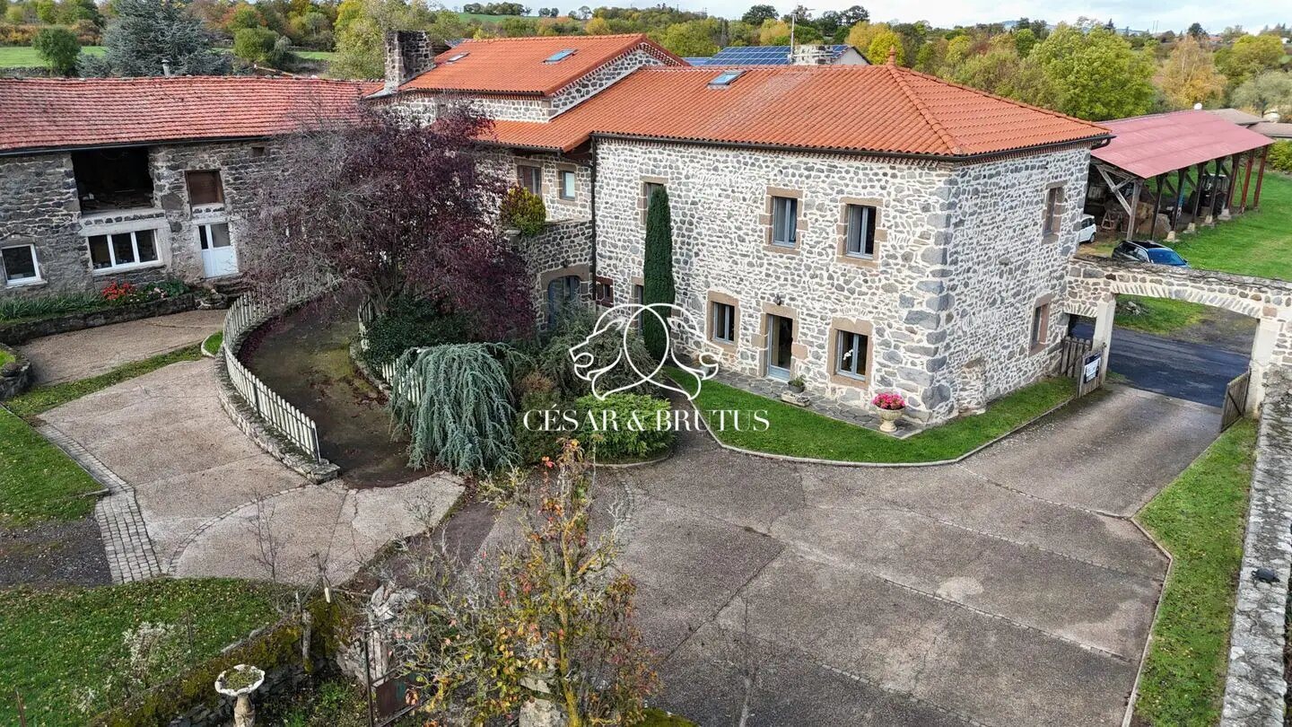 Maison à vendre, 343m², Sanssac-l'Eglise
