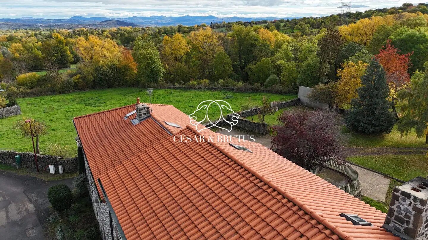 Maison à vendre, 343m², Sanssac-l'Eglise