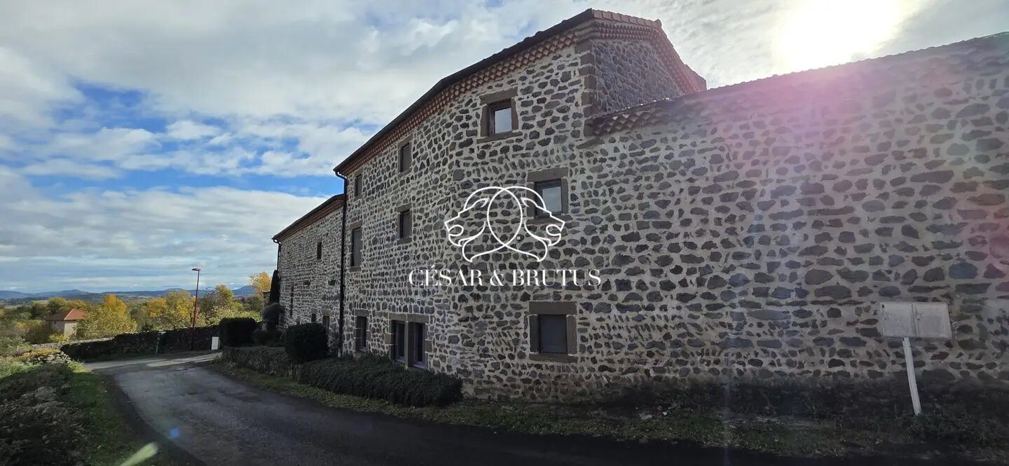 Maison à vendre, 343m², Sanssac-l'Eglise