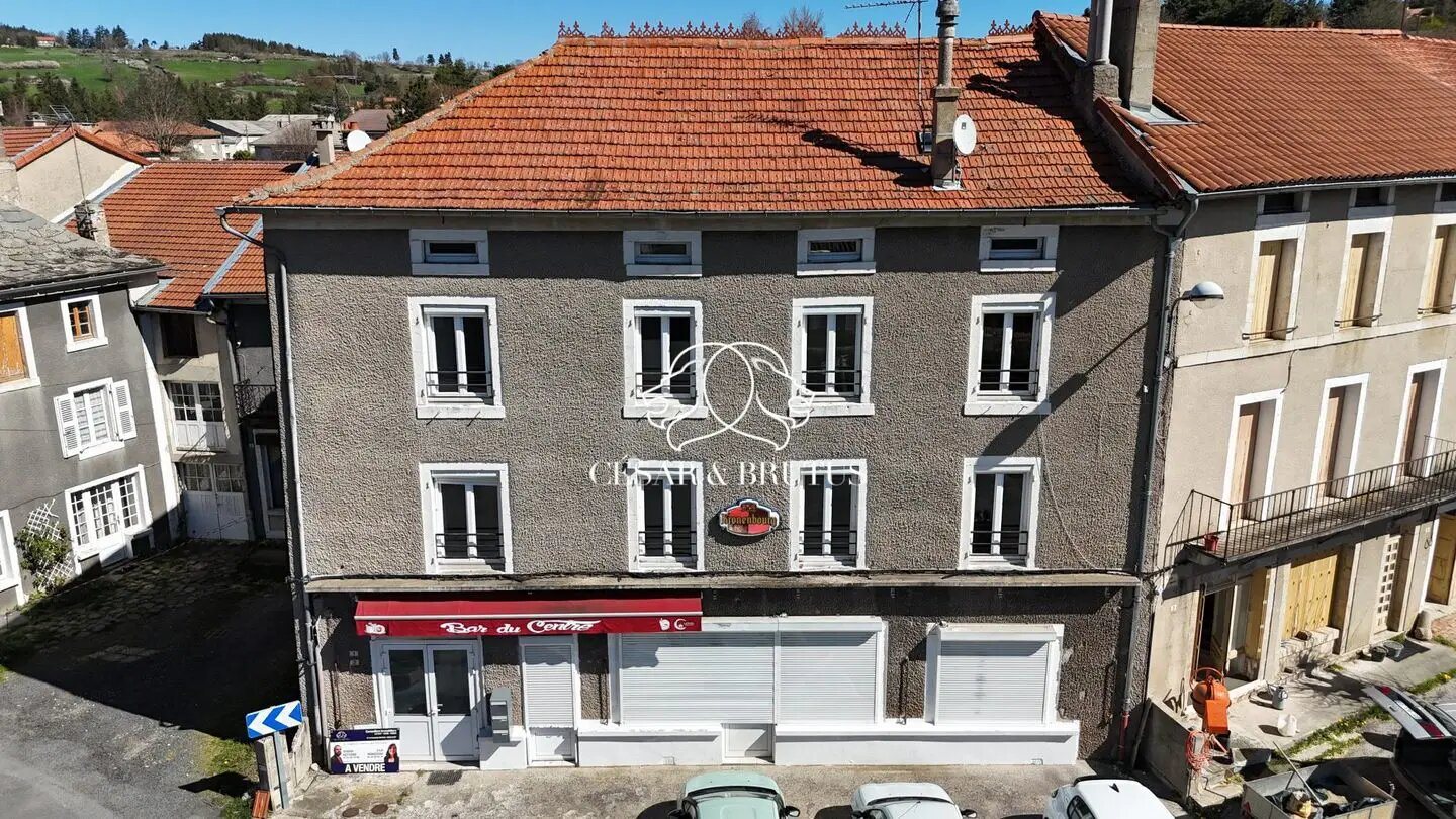Maison à vendre, 321m², Laussonne