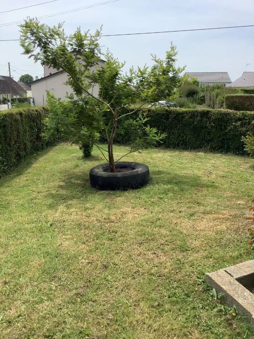 Maison à louer, 85m², Picauville
