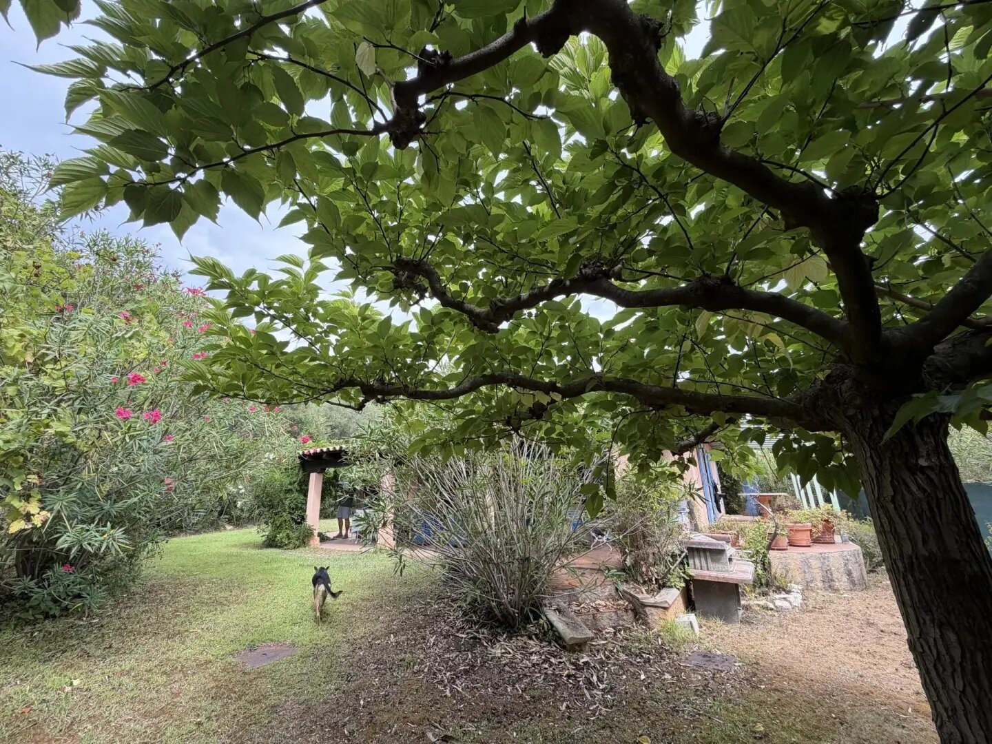 Maison à vendre, 110m², Ramatuelle