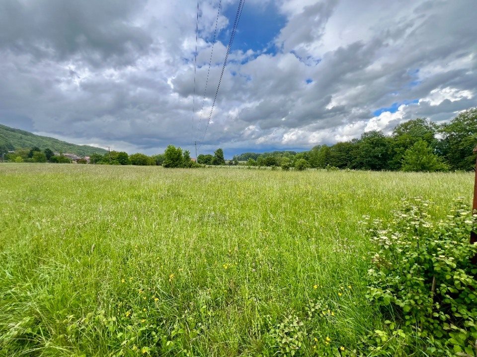 Maison à vendre, 100m², Corbonod