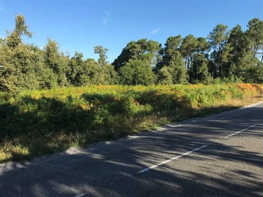 Advert pic 0