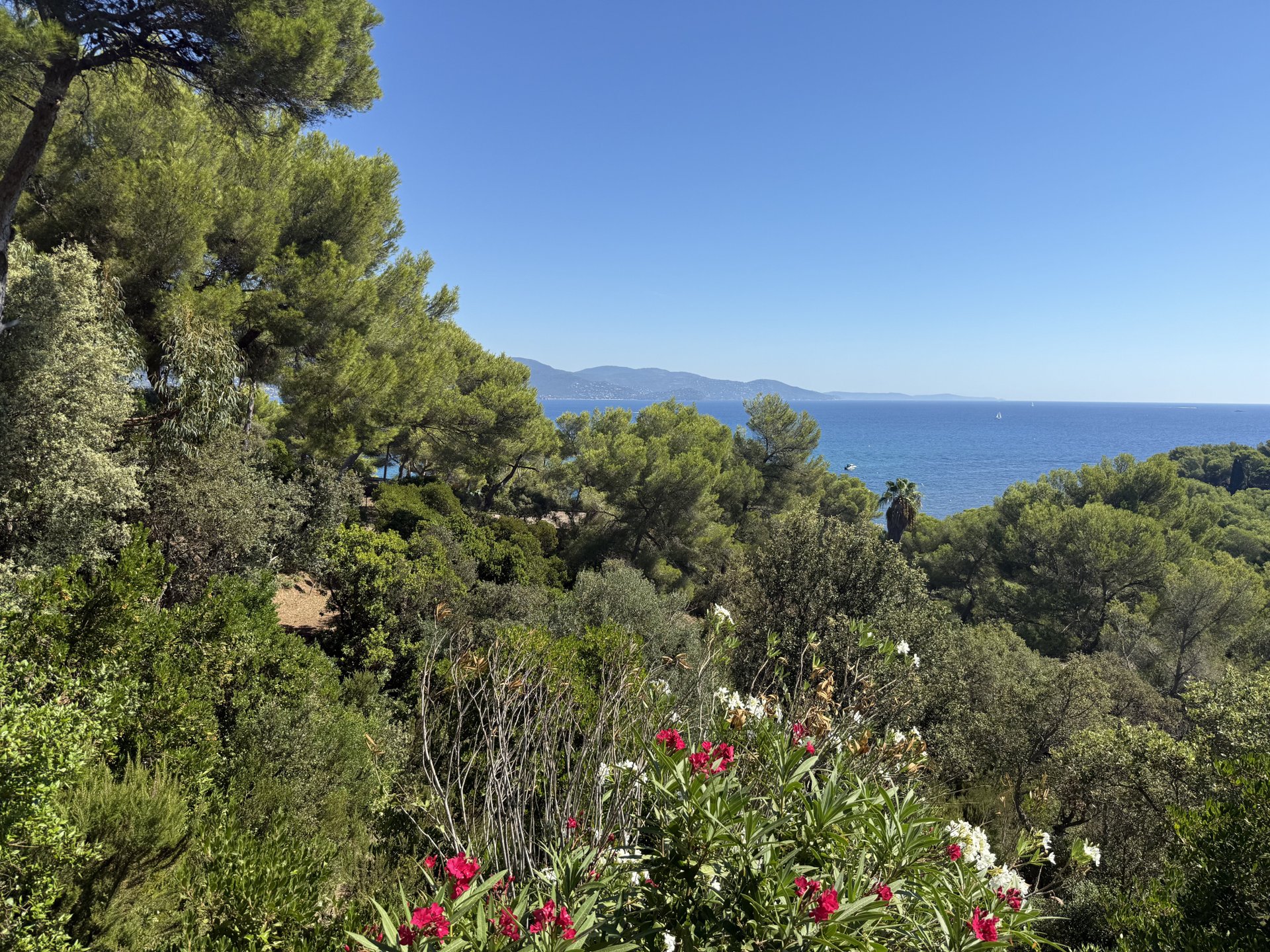 Maison à vendre, 265m², Bormes-les-Mimosas