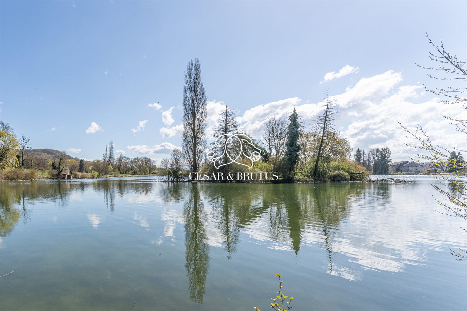 Maison à vendre, 300m², Trept