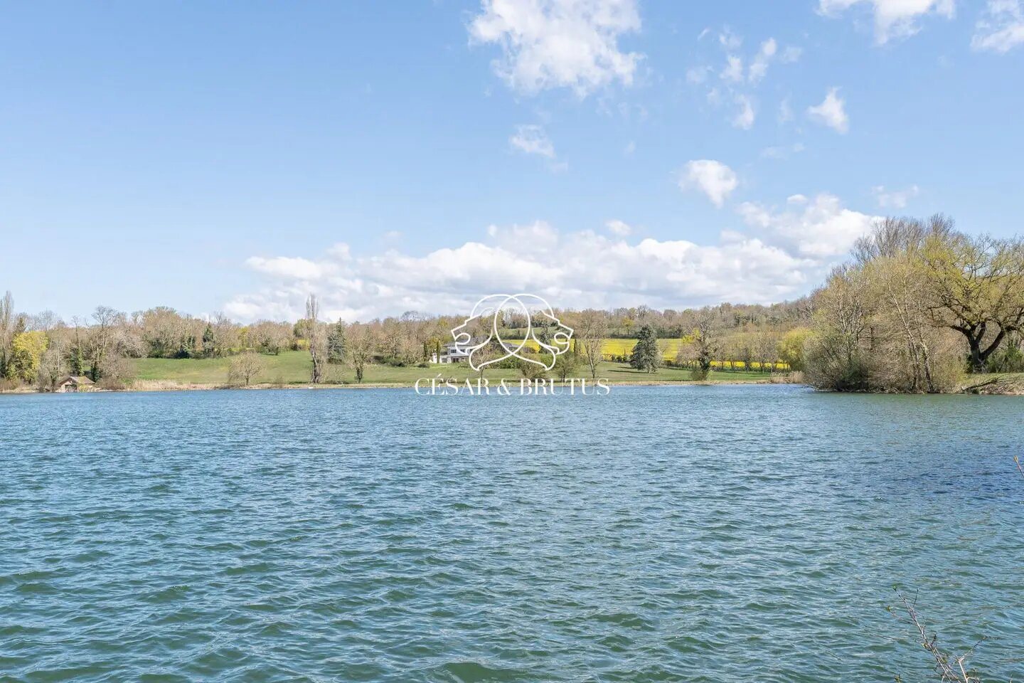 Maison à vendre, 300m², Trept