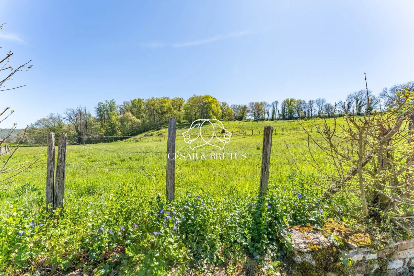 Maison à vendre, 214m², Chozeau