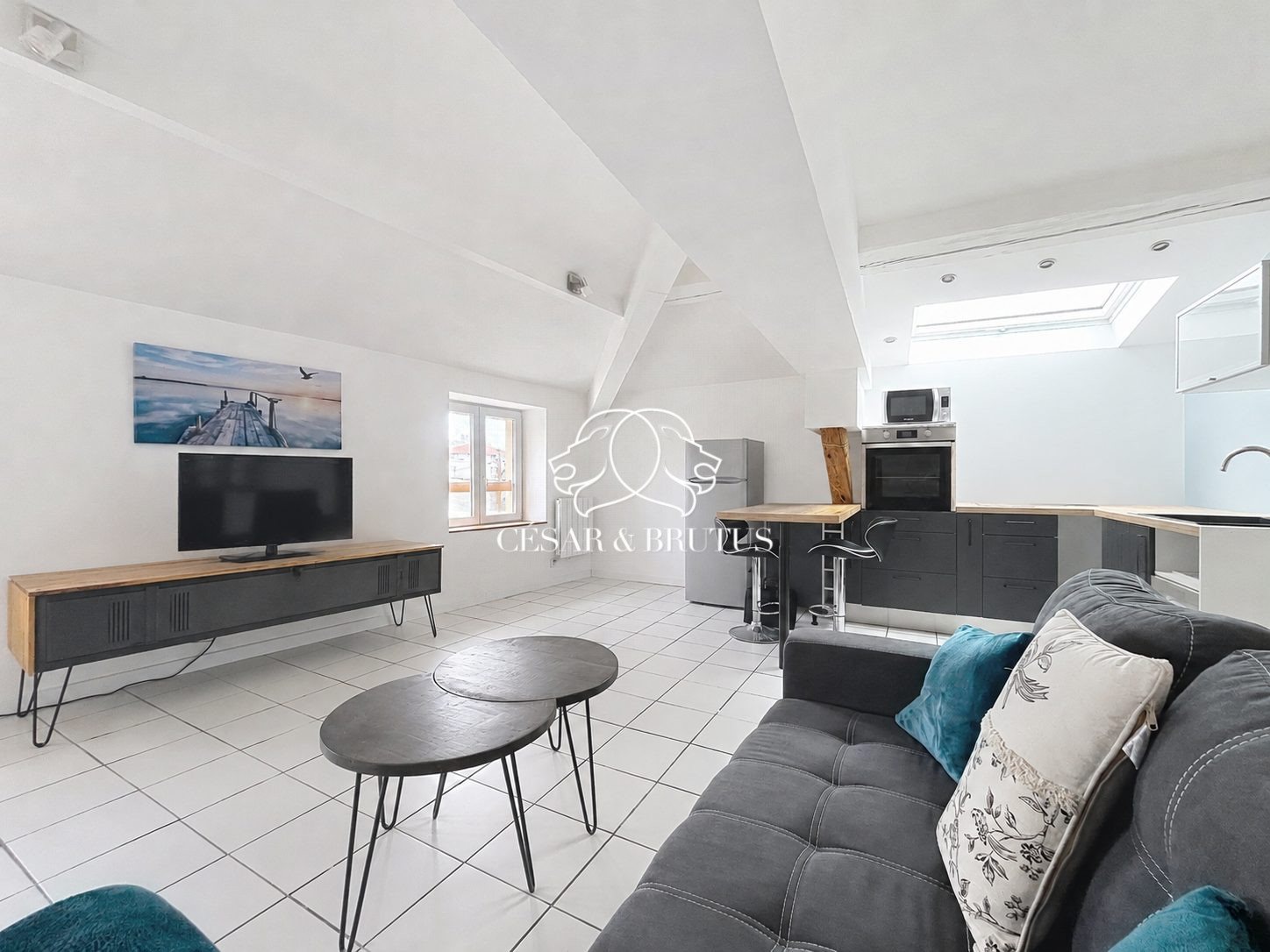 Appartement à vendre, 50m², Vienne