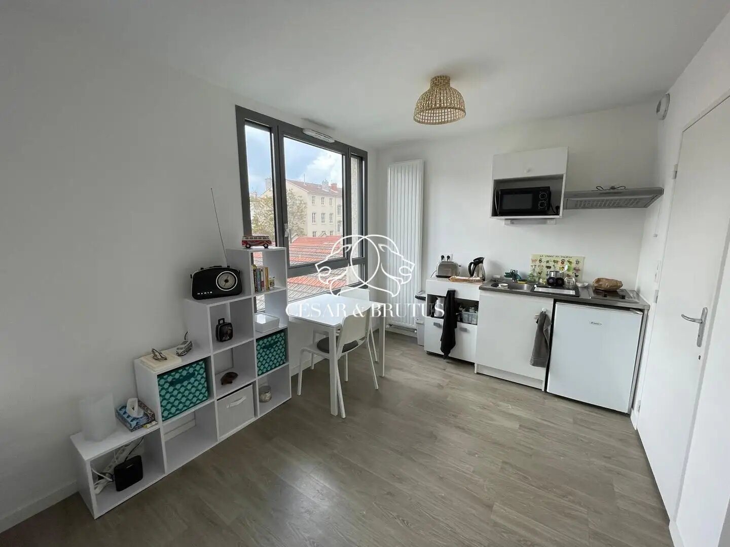 Appartement à vendre, 20m², Villeurbanne