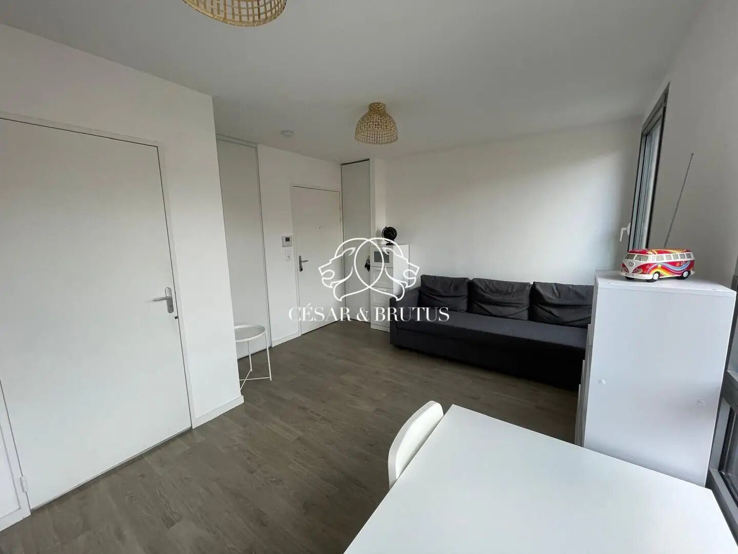 Appartement à vendre, 20m², Villeurbanne