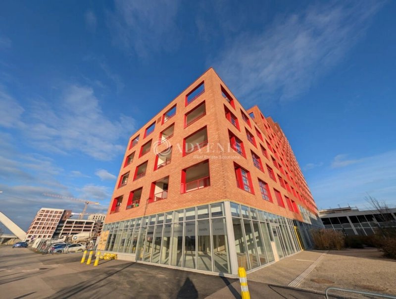 Maison à louer, 228m², Strasbourg