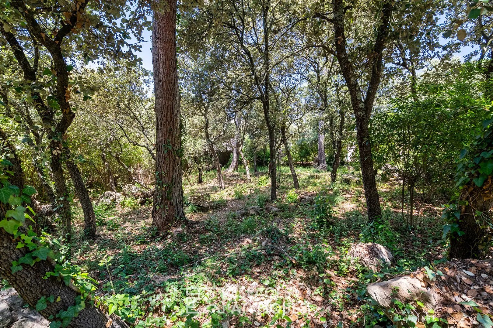 Maison à vendre, 200m², Aix-en-Provence