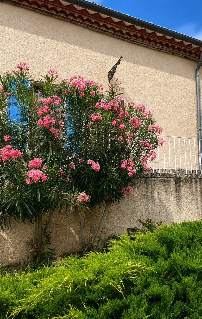 Maison à vendre, 136m², Saint-Marcel-sur-Aude