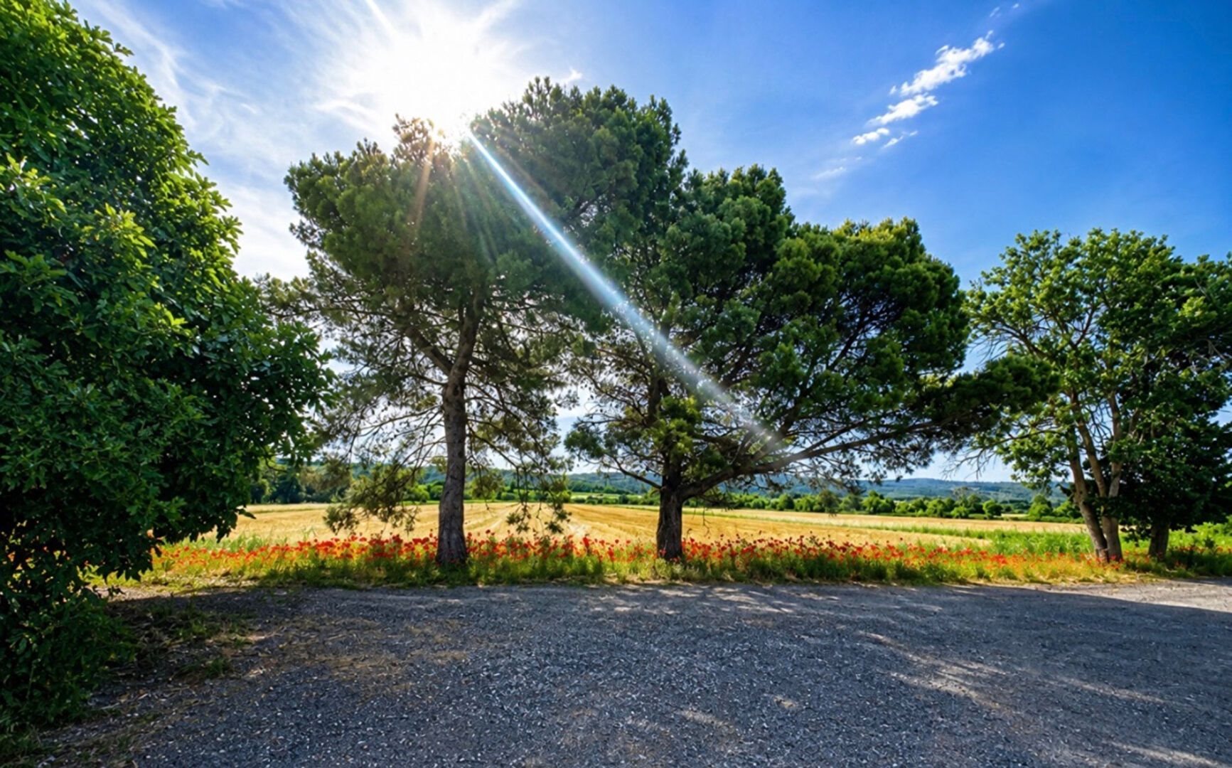 Maison à vendre, 350m², Narbonne