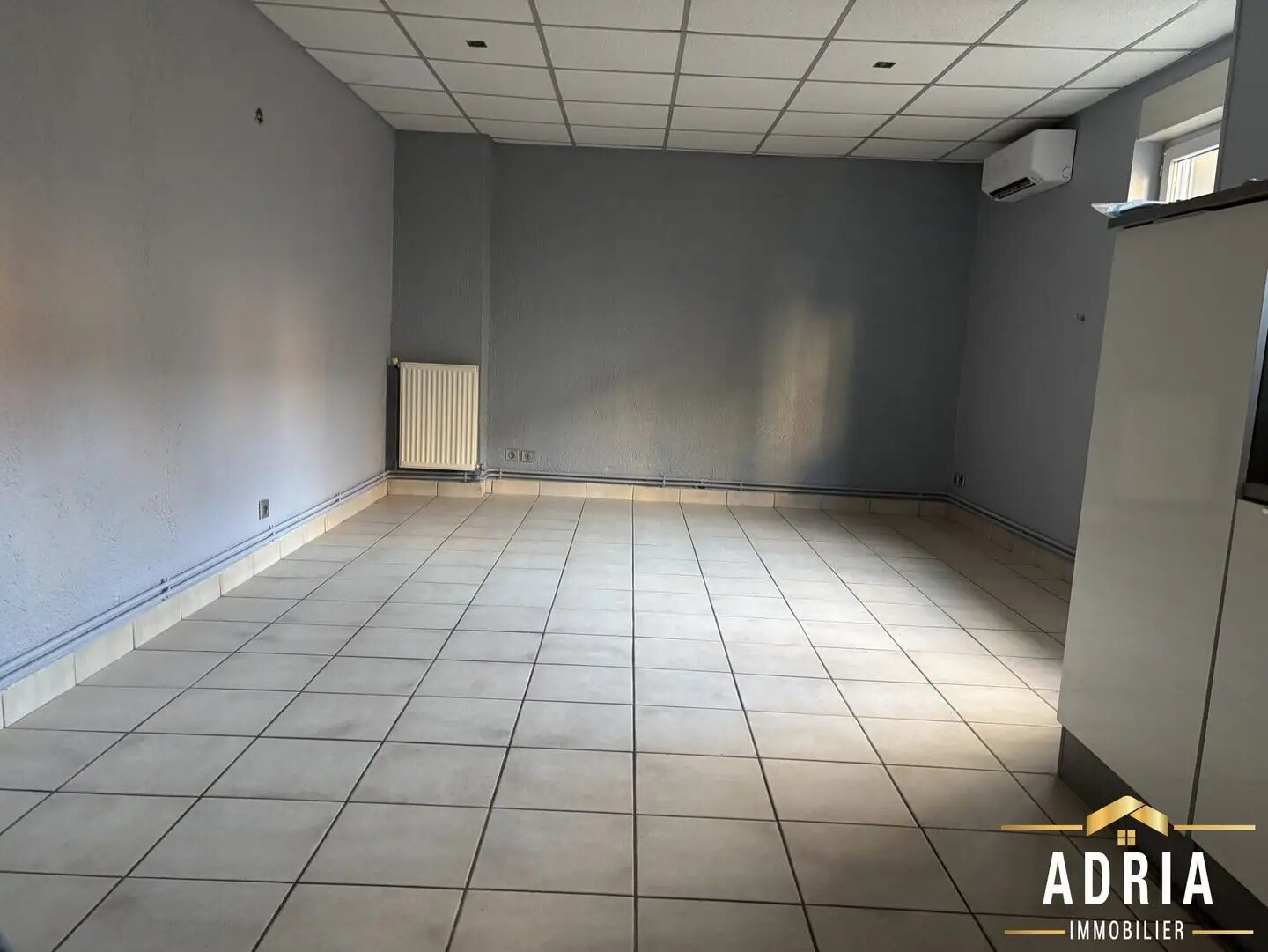Appartement à vendre, 64m², Dombasle-sur-Meurthe