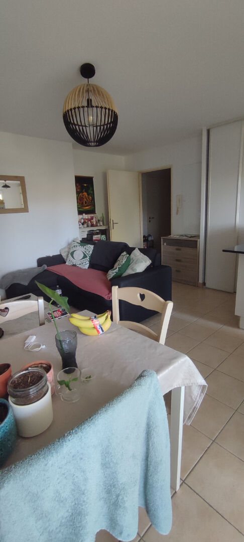 Appartement à louer, 43m², L'Isle-sur-la-Sorgue