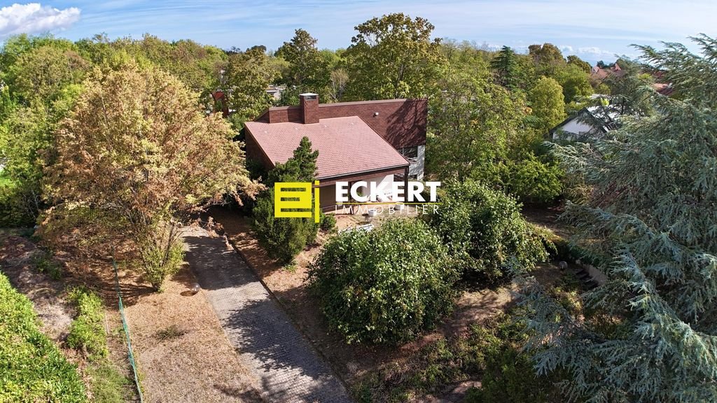 Maison à vendre, 320m², Obernai