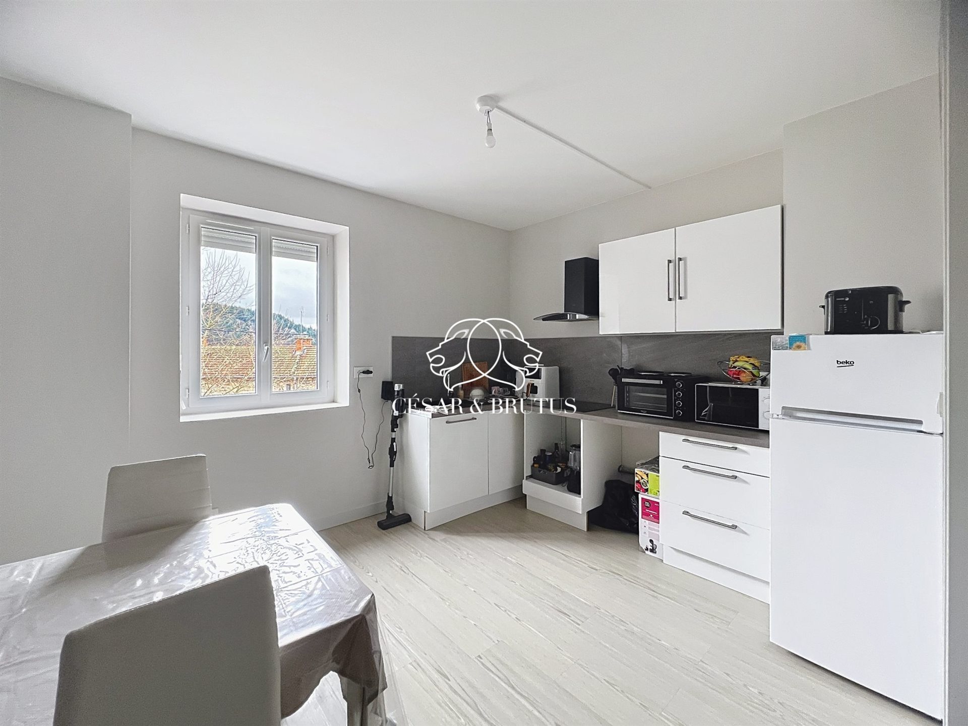 Appartement à vendre, 197m², Thizy
