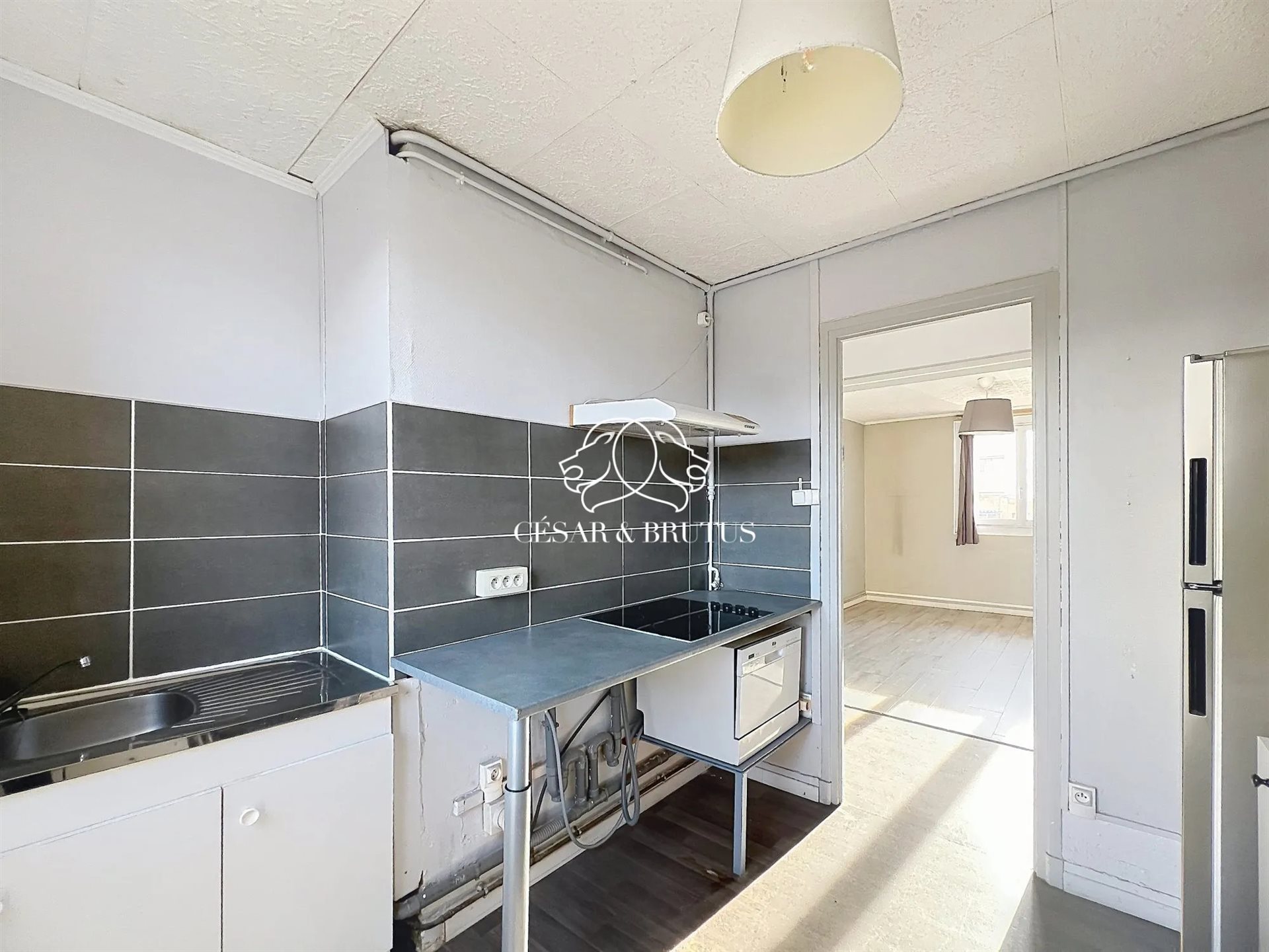 Appartement à vendre, 51m², Roanne